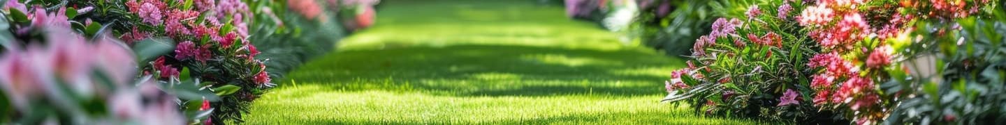 Image bannière Truffaut